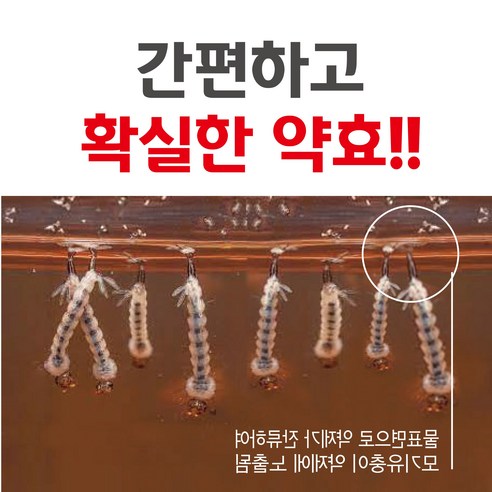 트러스트라바 과립으로 모기 유충을 퇴치하고 쾌적한 여름을!