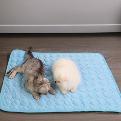 반려동물에게 시원함과 편안함을 선사하는 홈덴 쿨매트