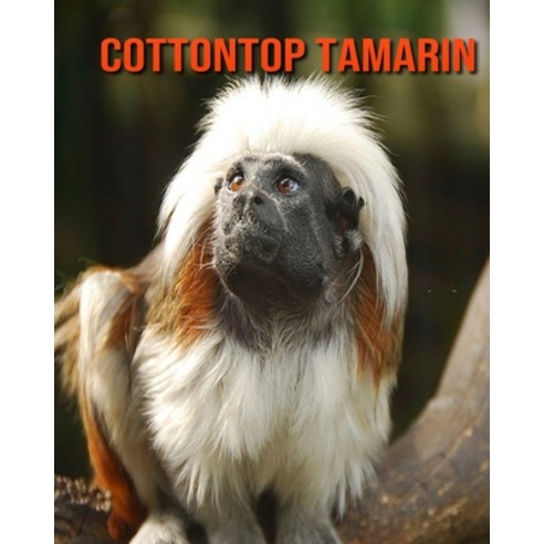 Cottontop Tamarin: Amazing Facts about Cottontop Tamarin Paperback, Independently Published, English, 9798695334784