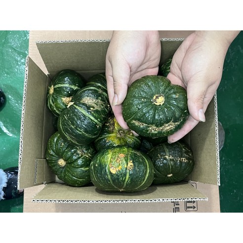 못난이 밤호박, 맛은 천재! 건강과 달콤함을 한번에!