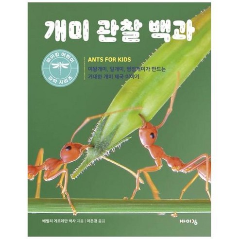 개미를 관찰하다, 바이킹 
사회 정치