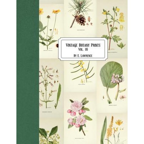 (영문도서) Vintage Botany Prints: Vol. 16 Paperback, Createspace Independent Pub..., English, 9781724836762