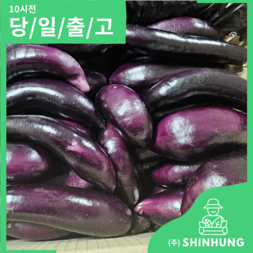 가지 국내산 햇 가지 1kg 2kg 5kg 10kg 한박스 못난이 가정 [신흥유통], 가지 10kg, 1개