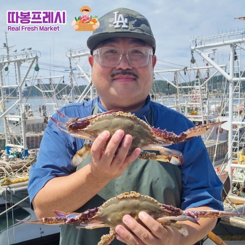 따봉프레시 살이꽉찬 황제 활 숯꽃게 태안 당일조업 빙장, 1개, 4kg