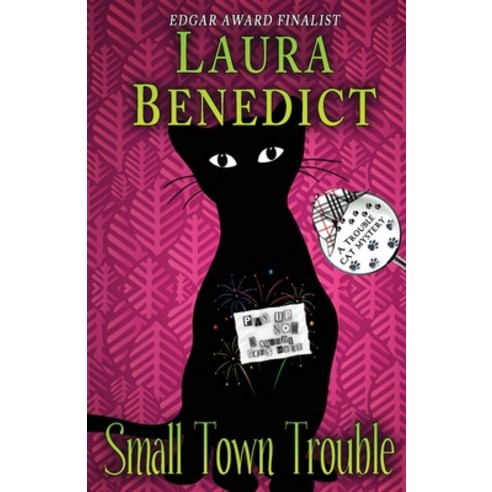 Small Town Trouble Paperback, Kalioka Press