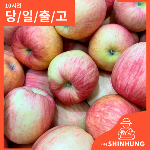 사과 홍로 가정용 못난이 1kg 2kg 5kg 10kg [신흥유통], 가정용 홍로 사과 1kg, 1개