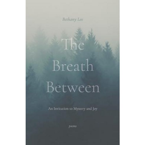 The Breath Between: An Invitation to Mystery and Joy Paperback, Fernwood Press, English, 9781594980619
