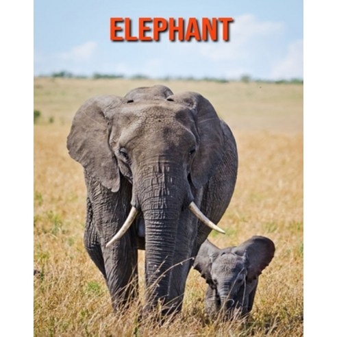 (영문도서) Elephant: Beautiful Pictures & Interesting Facts Children Book About Elephant Paperback, Independently Published, English, 9798517562357
