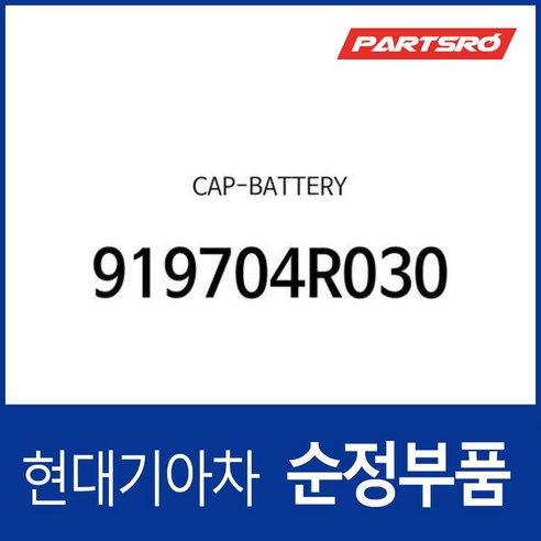 캡-배터리 (1개) (919704R030) 그랜저 IG 하이브리드/HG 하이브리드/더 뉴 IG 하이브리드 니로 하이브리드 K7 올뉴 (YG) 하이브리드/더뉴 (VG) 하이브리드, 1개