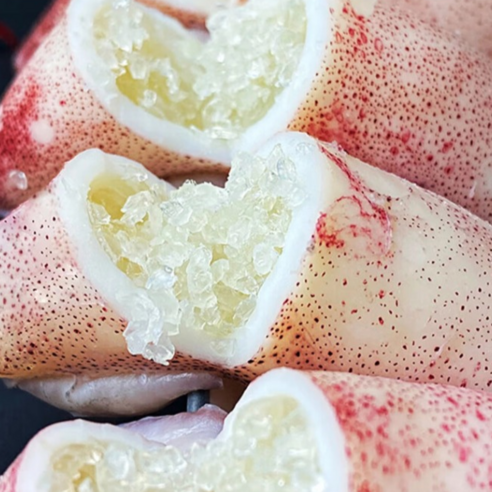 오늘 저녁, 잃어버린 입맛을 되찾아 줄 마법 – 총알한치 솔직 후기 총알한치