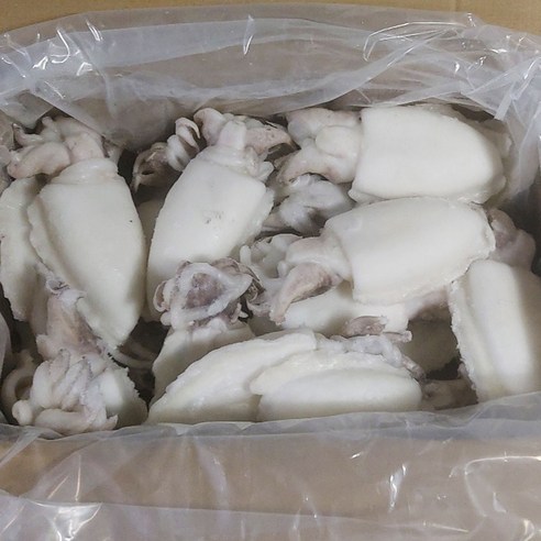 맛있고 건강한 냉동 손질갑오징어, 업소용으로 딱!
