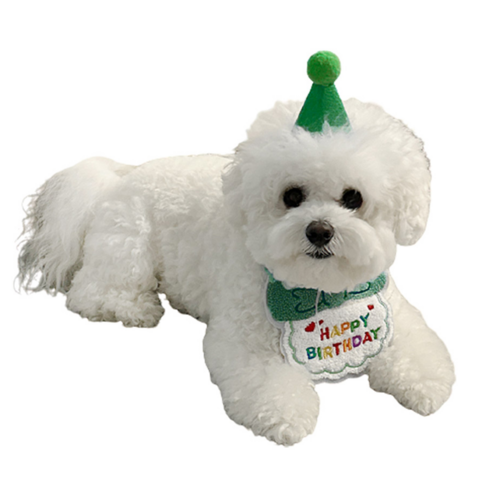 애완동물 생일 파티 소품 스카프 + 모자 세트, 생일 가랜드 (그린), 1세트