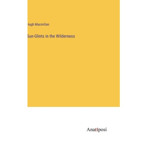 (영문도서) Sun-Glints in the Wilderness Hardcover, Anatiposi Verlag, English, 9783382183813