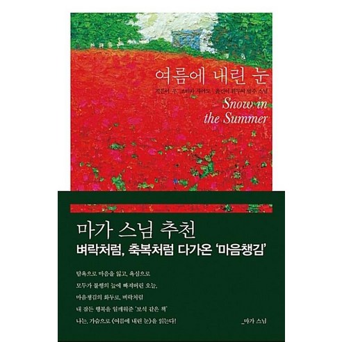 여름에 내린 눈, 한언