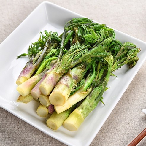 국내산 남해안 통영 해풍 땅두릅 200g 500g, 땅두릅 500g, 1개