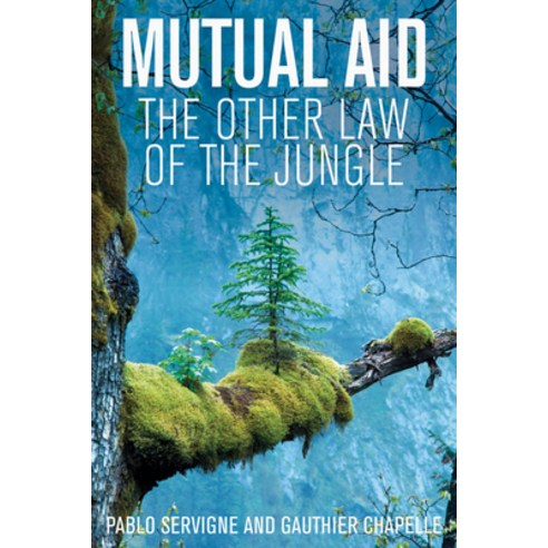 (영문도서) Mutual Aid: The Other Law of the Jungle Paperback, Polity Press, English, 9781509547920