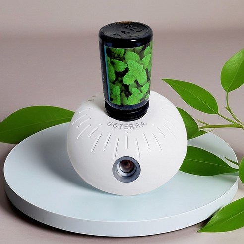 지친 일상, 향기로 되살아나는 나만의 힐링 스페이스 도테라디퓨저