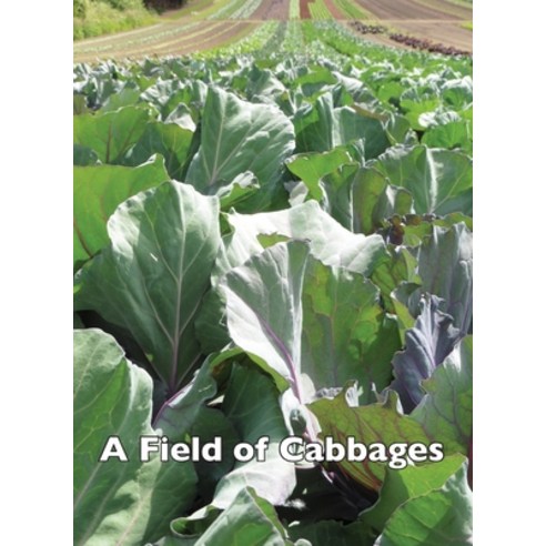 A Field of Cabbages Paperback, Good Deed Rain, English, 9781647643867