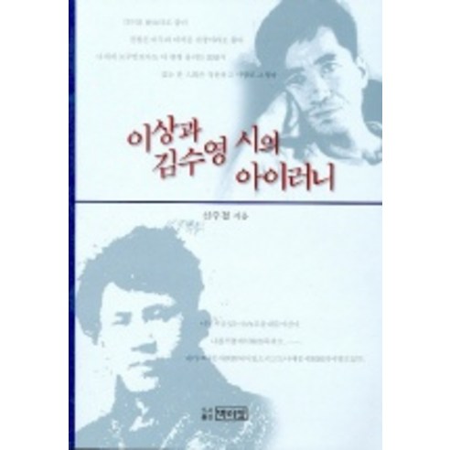 이상과 김수영 시의 아이러니, 박이정, 신주철