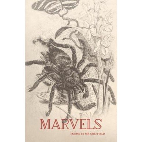 (영문도서) Marvels Paperback, Sundress Publications, English, 9781939675712
