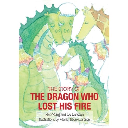The Dragon Who Lost His Fire Paperback, Friare LIV Konsult