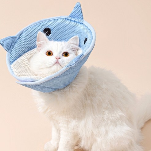 펫올리 반려동물 메쉬 넥카라, 상어, 1개