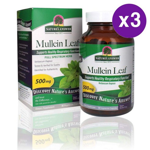 네이쳐스 앤서 뮬린 뮤레인 추출물 500mg 90캡슐 3팩 Nature's Answer Mullein Leaf Capsules