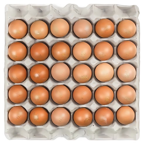 [소금증정] HACCP 무항생제 인증 쫄깃한 구운계란 중란/대란