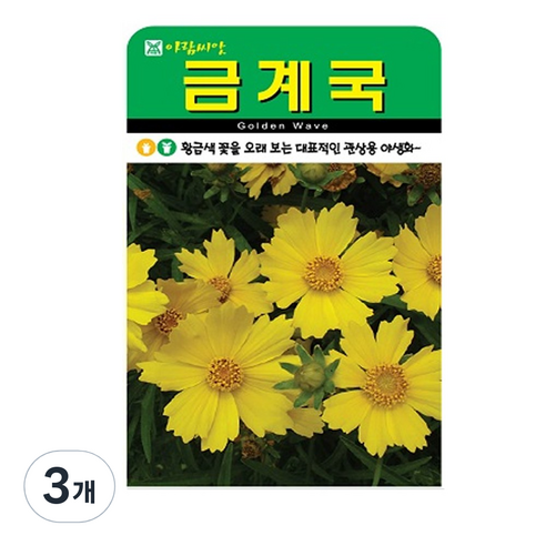 금계국 씨앗, 3개