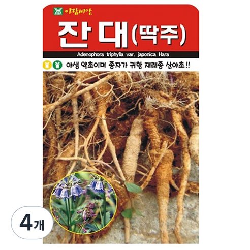 잔대 씨앗 약초 씨 종자, 4개
