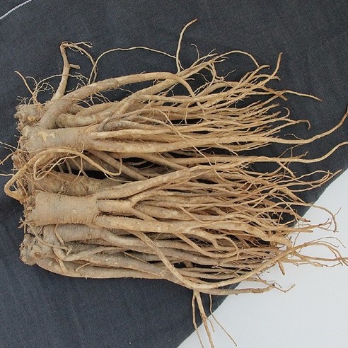 올댓리빙 도라지 3년근 무농약 1kg, 1개 고급 약도라지 도라지가루