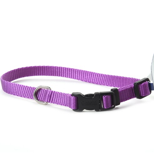 코스탈펫 애견 목줄, Purple