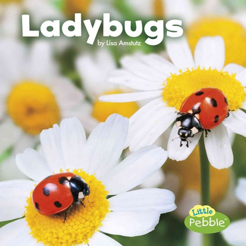 Ladybugs, Capstone Pr Inc