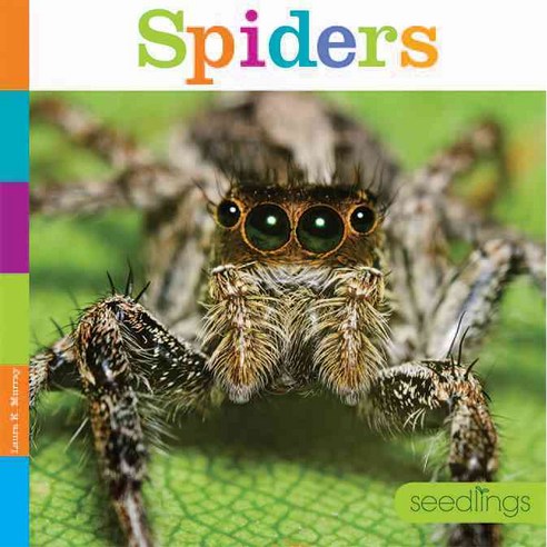 Spiders: Seedlings, Creative Paperbacks Inc