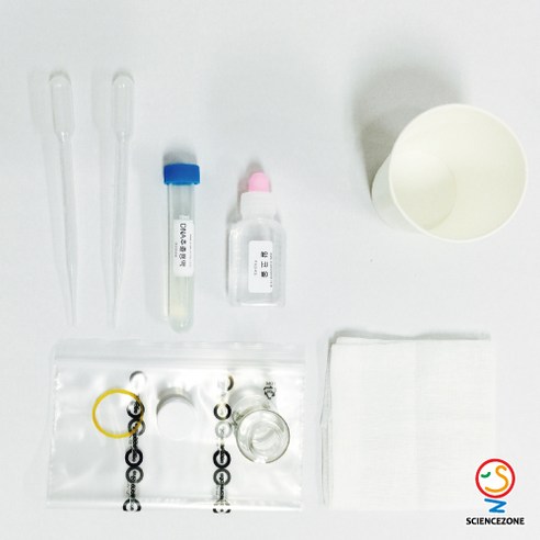 식물 DNA 추출의 즐거움: 과학적 탐구를 위한 사이언스존 키트