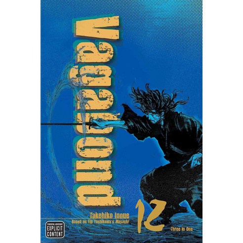 Vagabond 12: Vizbig Edition, Viz