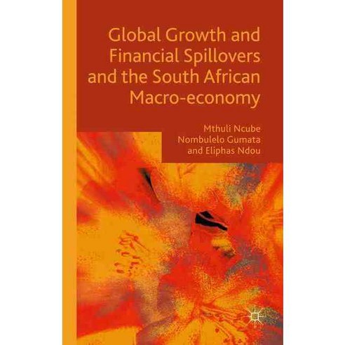 Global Growth and Financial Spillovers and the South African Macro-Economy, Palgrave Macmillan