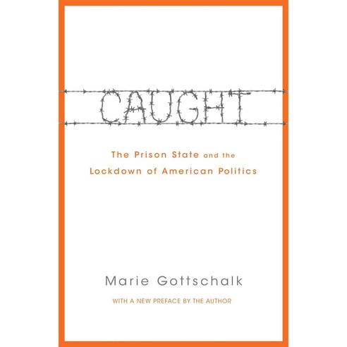 Caught:The Prison State and the Lockdown of American Politics, Princeton University Press