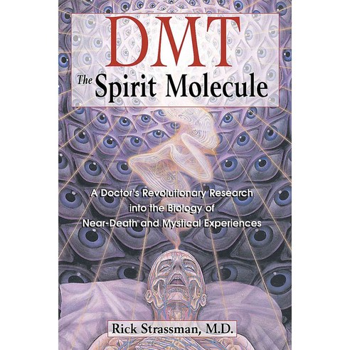 Dmt: The Spirit Molecule : A Doctor''s Revolutionary Research into the Biology of Near-Death and Mystical Experience, Park Street Pr