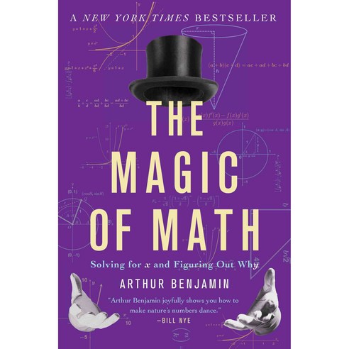 The Magic of Math: Solving for X and Figuring Out Why, Basic Books