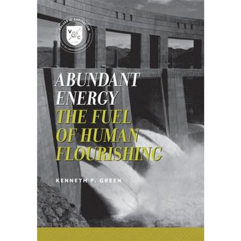 Abundant Energy: The Fuel of Human Flourishing Paperback, American Enterprise Institute Press