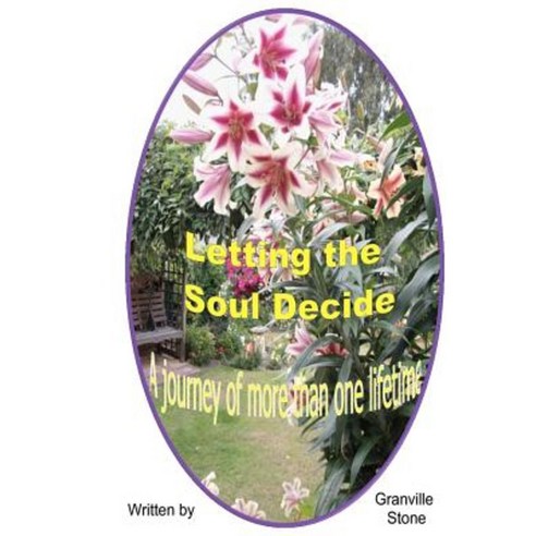 Letting the Soul Decide: A Journey of More Than One Lifetime Paperback, Creative Meditations, Limited