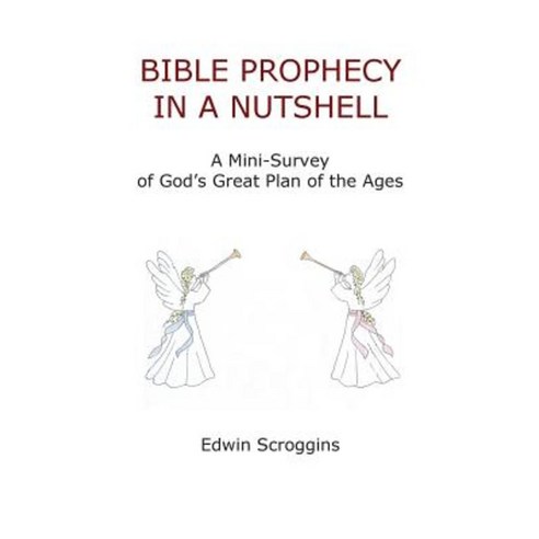 Bible Prophecy in a Nutshell: A Mini-Survey of God''s Great Plan of the Ages Paperback, Booksurge Publishing