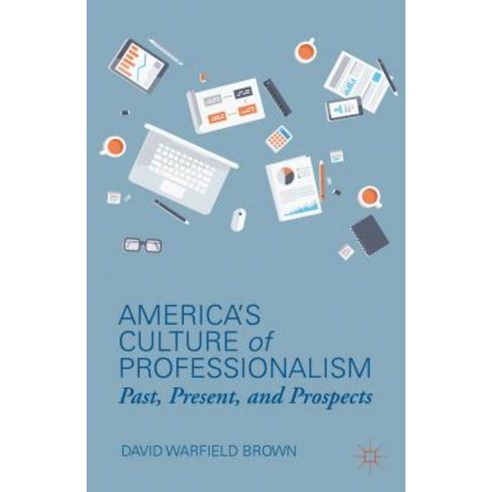 America''s Culture of Professionalism: Past Present and Prospects Hardcover, Palgrave MacMillan