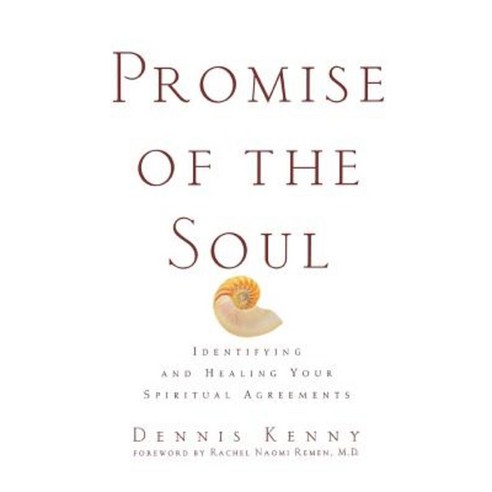 Promise of the Soul: Identifying and Healing Your Spiritual Agreements Hardcover, John Wiley & Sons