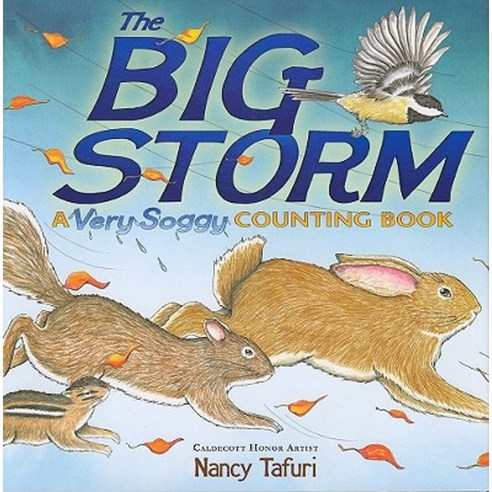 The Big Storm: A Very Soggy Counting Book Hardcover, Simon & Schuster Books for Young Readers