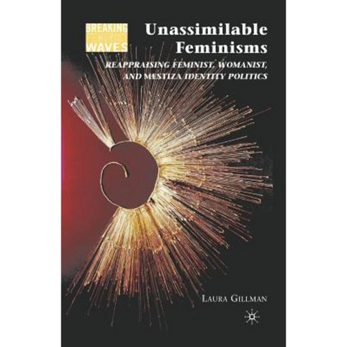 Unassimilable Feminisms: Reappraising Feminist Womanist and Mestiza Identity Politics Paperback, Palgrave MacMillan