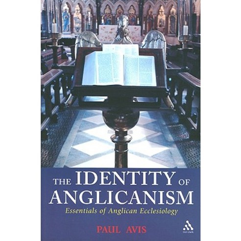 The Identity of Anglicanism: Essentials of Anglican Ecclesiology Paperback, T & T Clark International