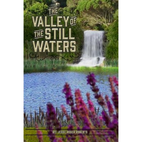 The Valley of the Still Waters Paperback, Roger Roberts