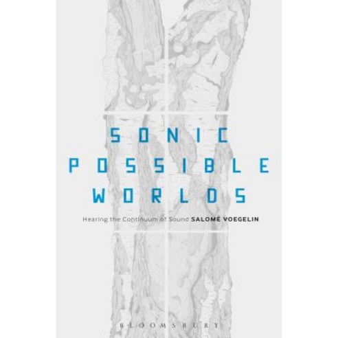 Sonic Possible Worlds: Hearing the Continuum of Sound Paperback, Bloomsbury Academic